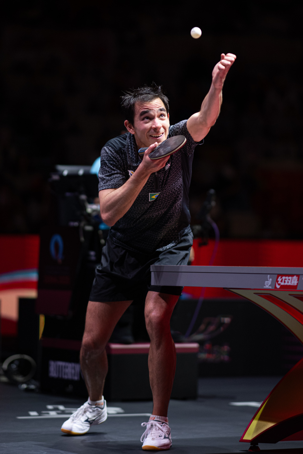 包括交易年 包括交易年